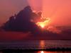 Waning Rays, Florida